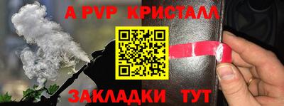 spice Камень-на-Оби