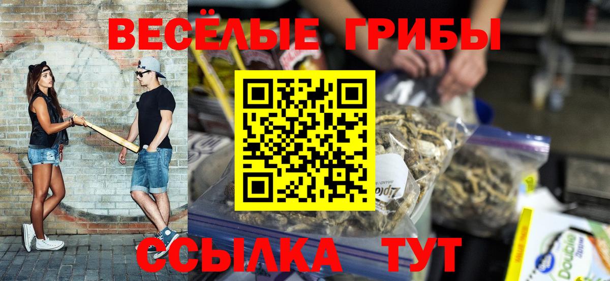 Галлюциногенные грибы MAGIC MUSHROOMS  Вход с VPN  Прокопьевск  Галлюциногенные грибы MAGIC MUSHROOMS 