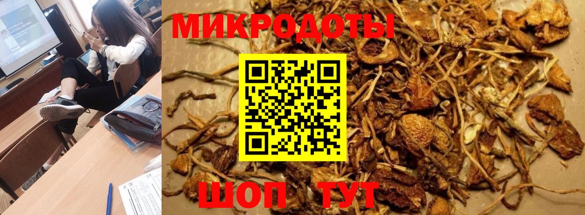 Галлюциногенные грибы мухоморы Прокопьевск